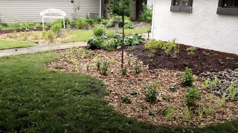 Rain garden alongside a house