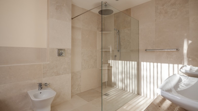 Modern Roman shower in sunlit bathroom