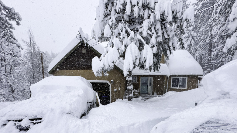 Heavy snowfall with big piles of accumulation on trees and around a home on a hillside