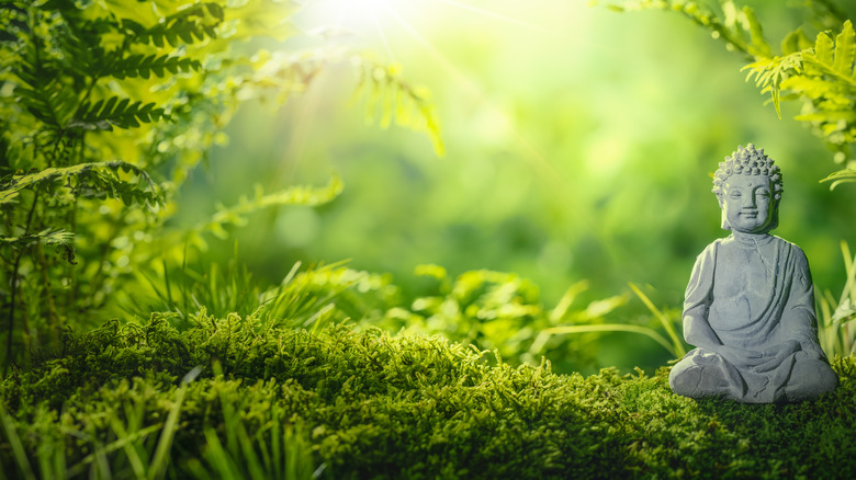 Zen garden moss close up