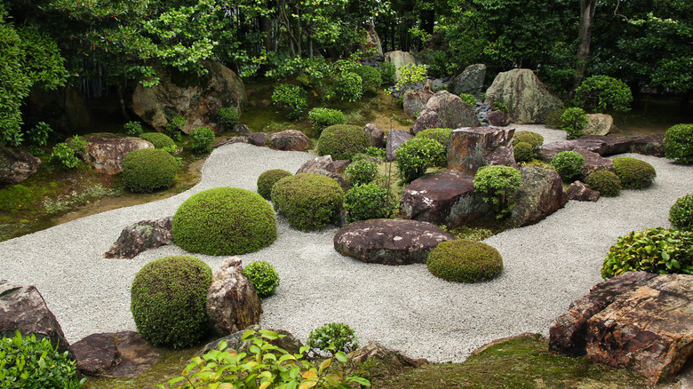 Zen rock garden oasis