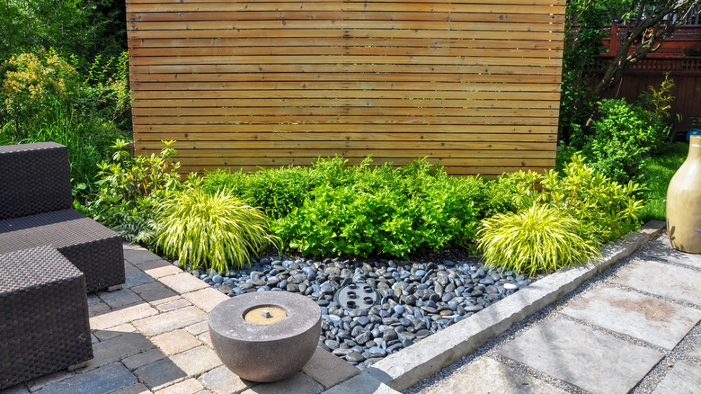 Backyard rock garden with shrubs