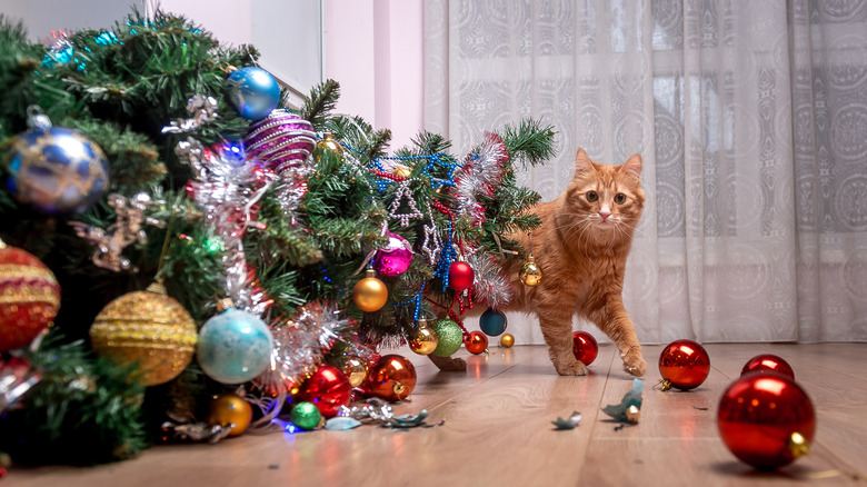 tipped over Christmas tree with cat