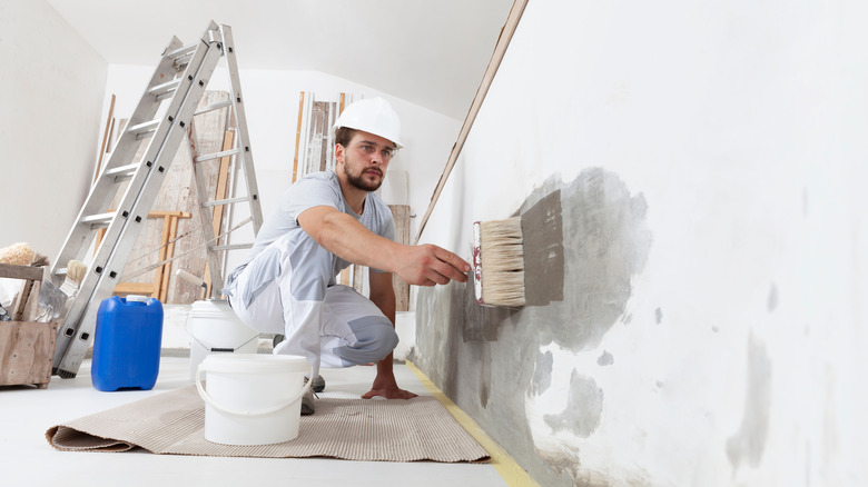 Person painting over mold