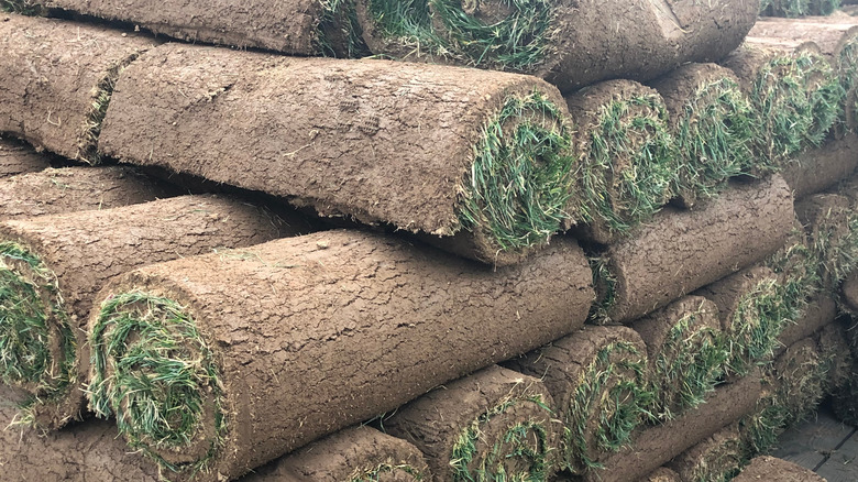  rolled up sod on top of each other