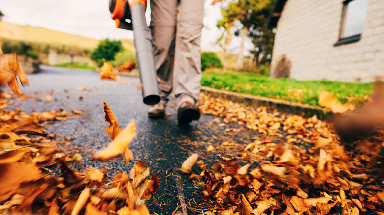 Using a leaf blower on wet, stubborn leaves