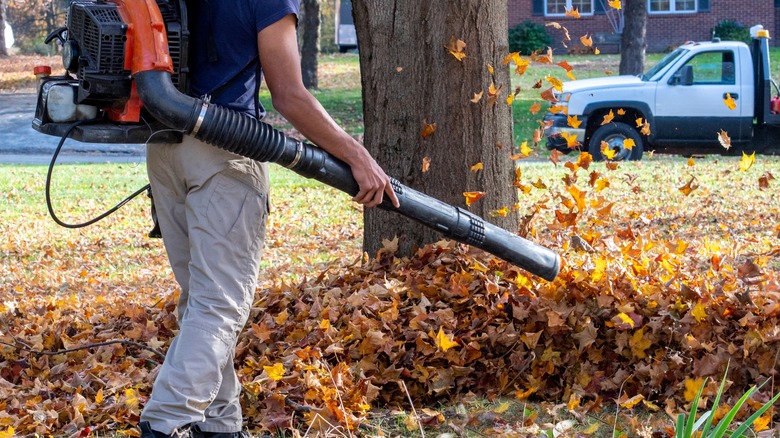 Person using a leaf blower