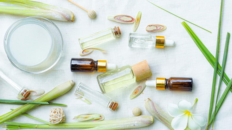 lemongrass essential oil