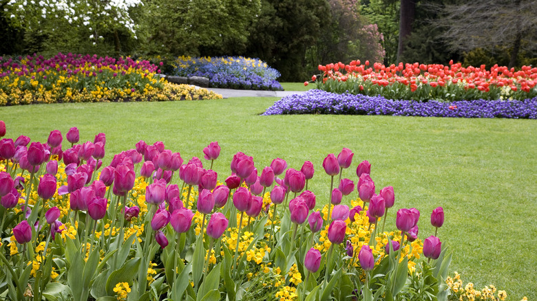 Garden with various flowers