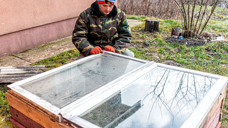 DIYing a cold frame