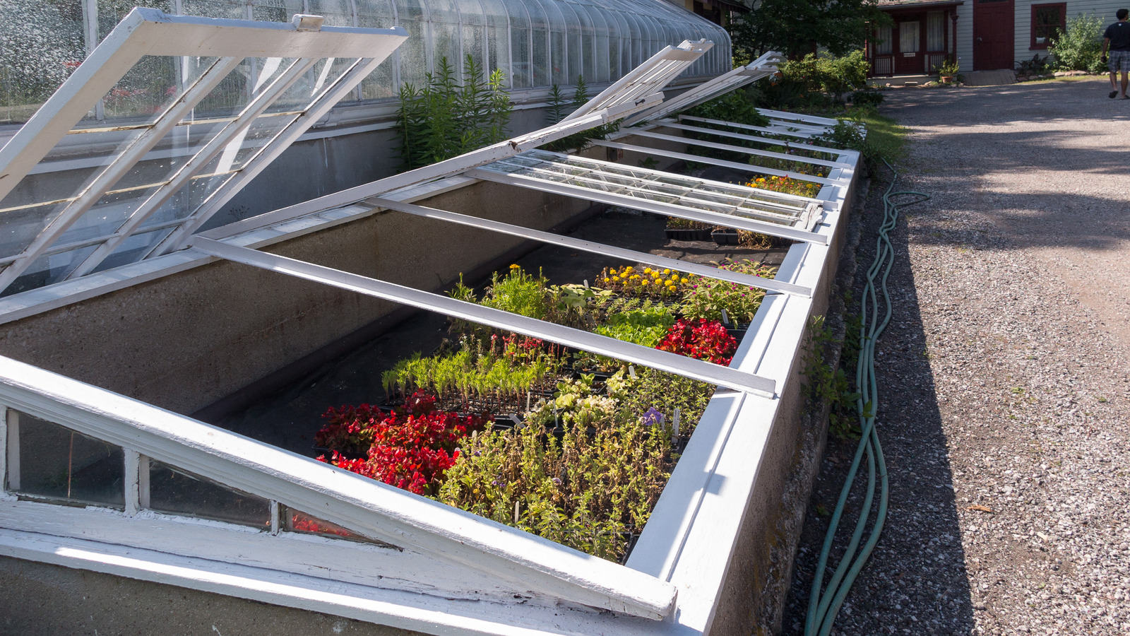 What Is Cold Frame Gardening?