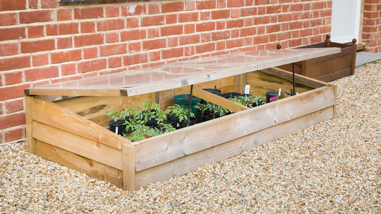 cold frame gardening