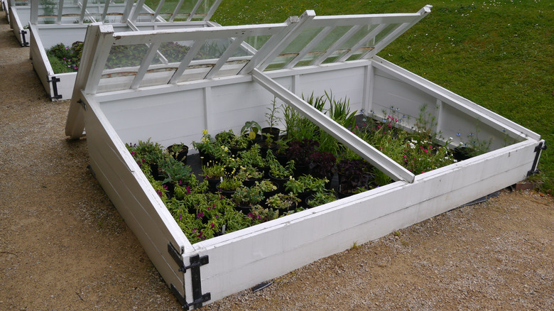 cold frames