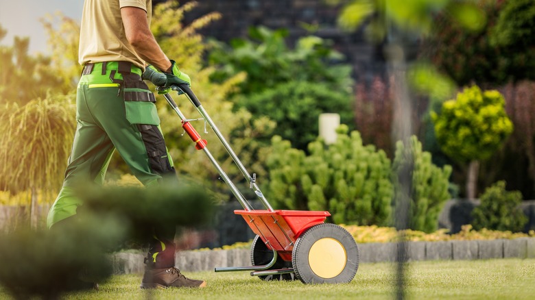 man mowing lawn