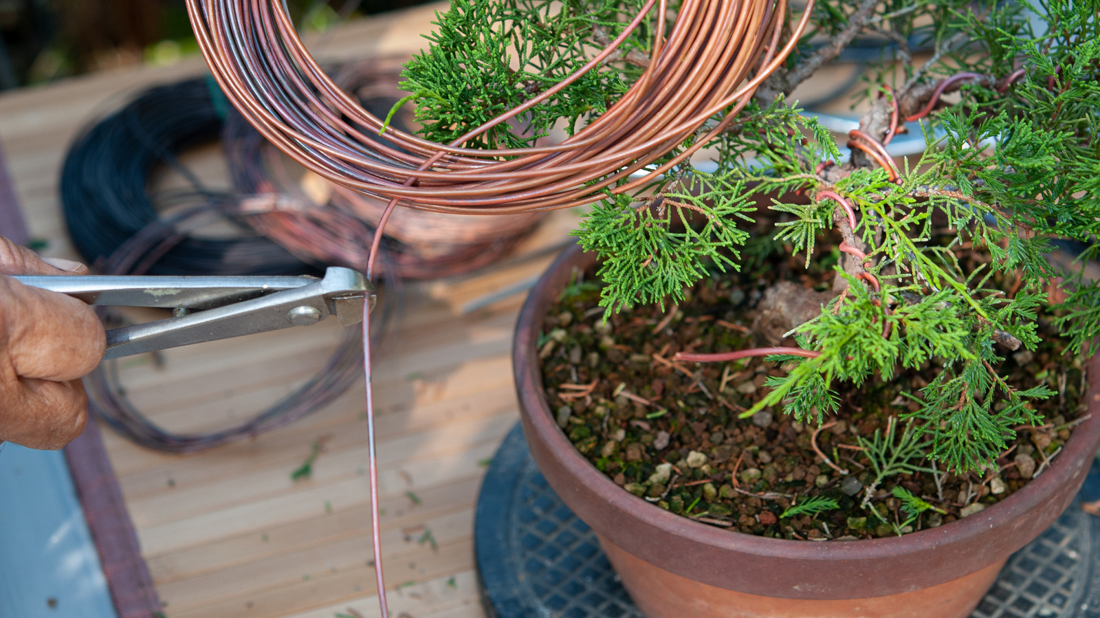Gardening Copper Wire Electroculture Gardening Copper Coil for