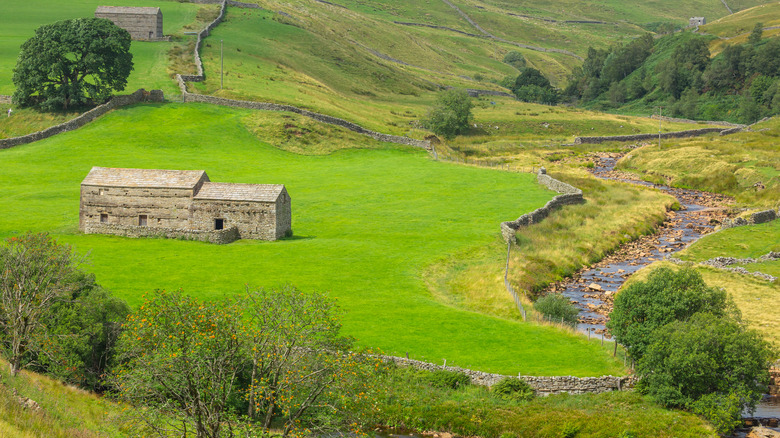 cottage with swale cut in landscape