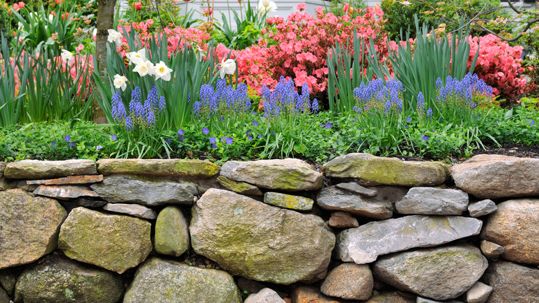 stone retaining wall and garden