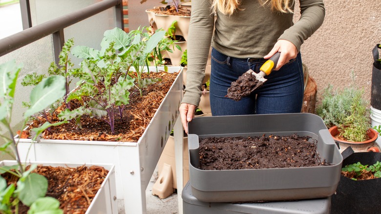 adding compost to raised beds