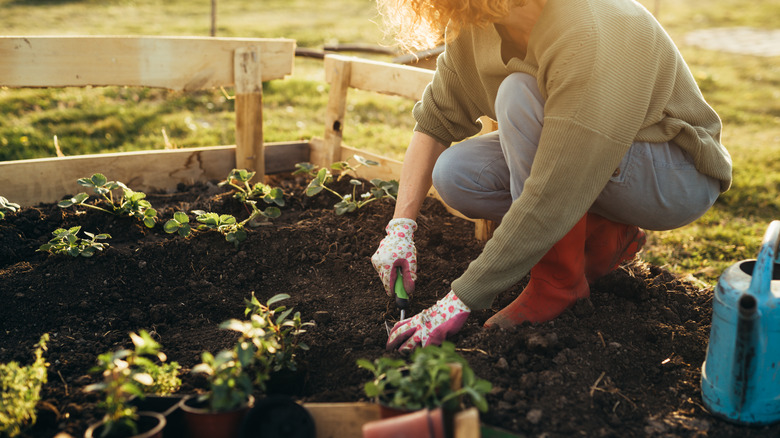 Woman digging in soil