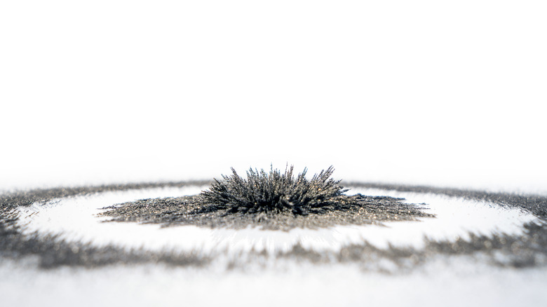 iron filings spiking from magnetism