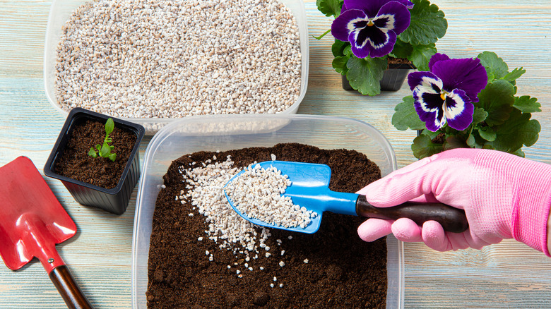 Mixing potting soil with perlite 
