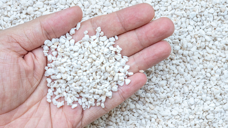 Hand holding perlite up close