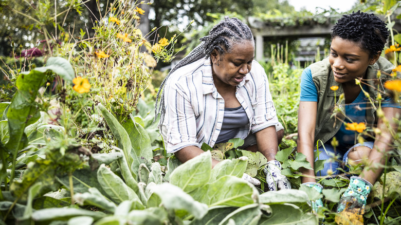 Two generations of people working in a mature garden.