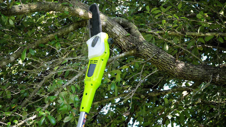 pole chainsaw