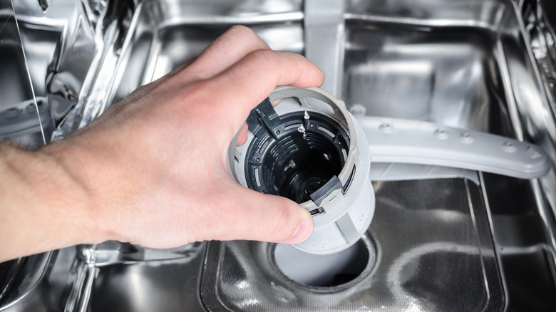 hand holding dishwasher filter