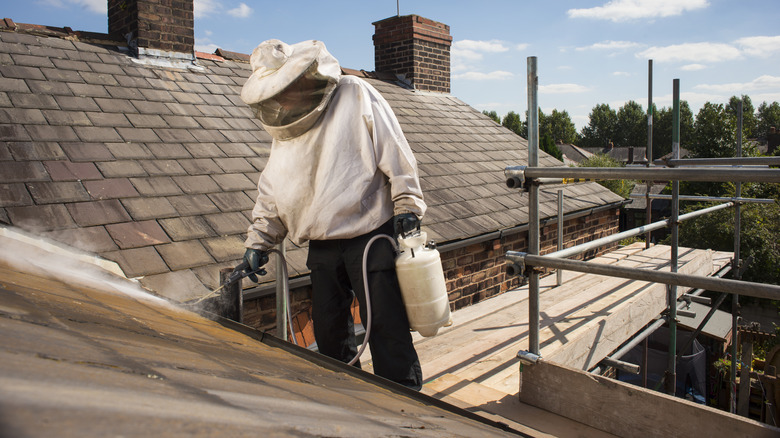 Pest controller sprays nest on roof