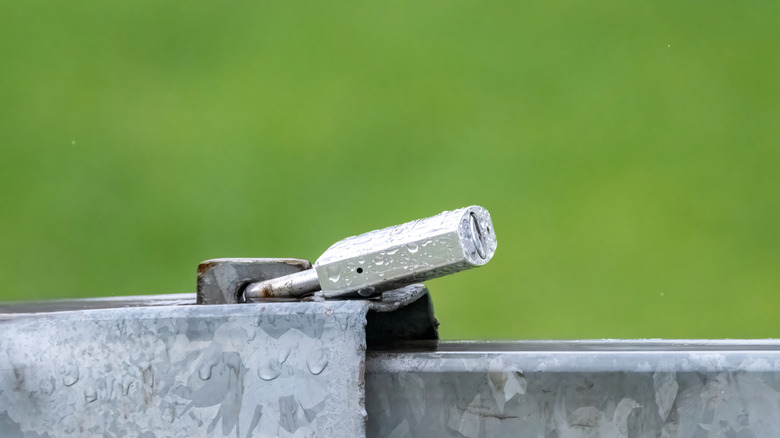 shiny padlock with drops of water on it securing metal gate under the rain