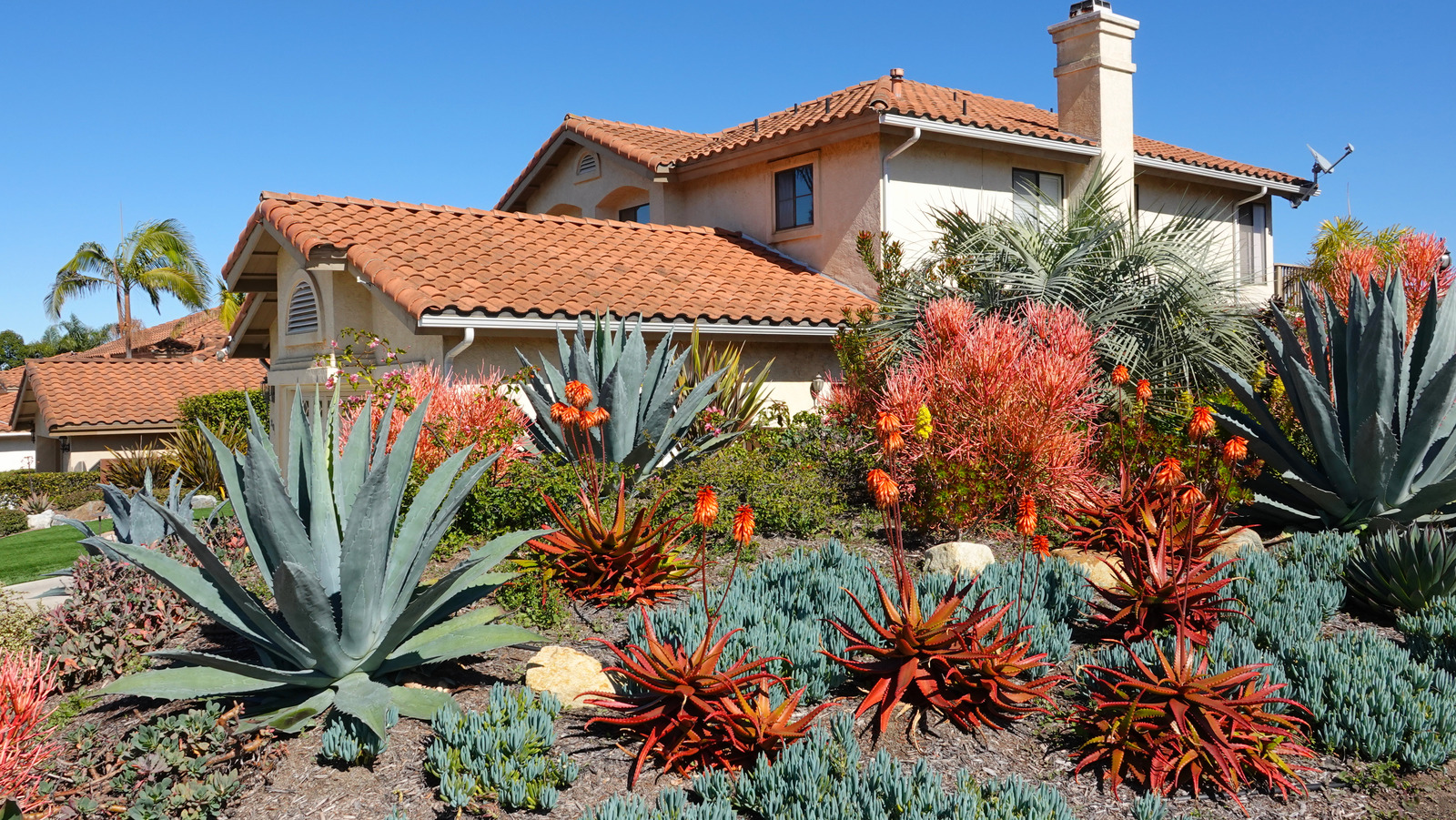 what-is-the-xeriscaping-trend-and-how-can-it-help-your-garden-in-a-drought