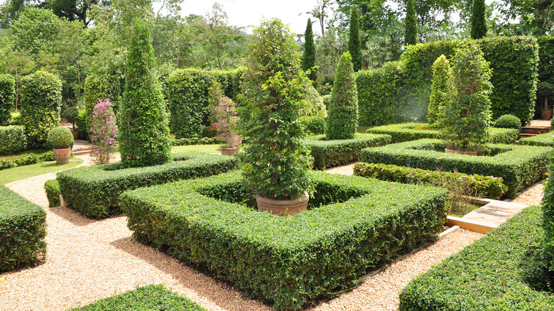 formal topiary landscape