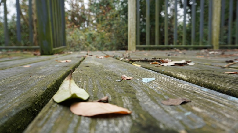Wooden deck with leaves