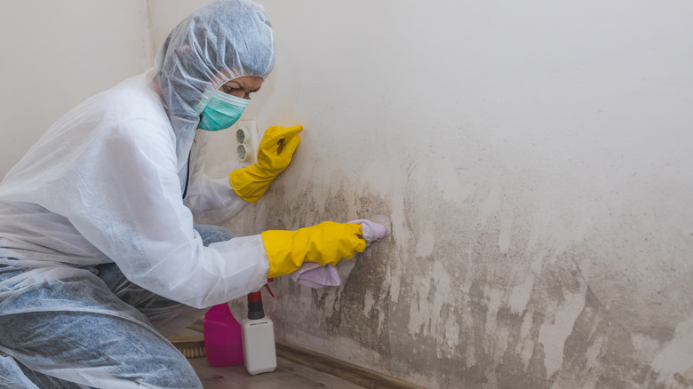 cleaning mold from a wall