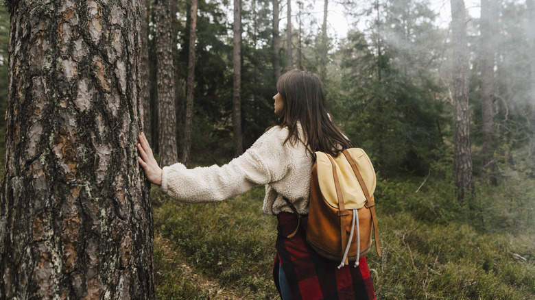 Woman looking at the trunk of a tree