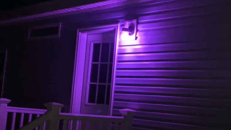 Purple light waves