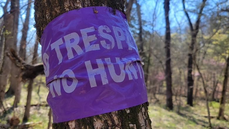 Purple warning tape on tree