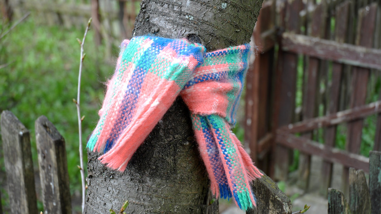 Scarf tied on tree