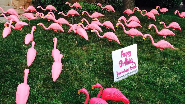 plastic flamingos with yard sign