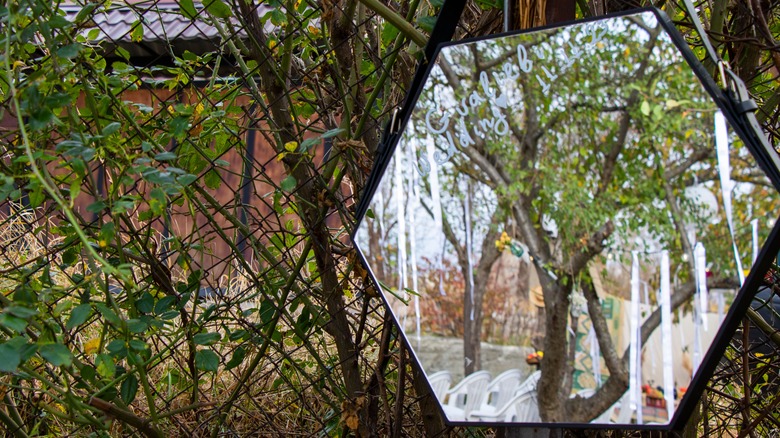 6-sided mirror hanging from tree 