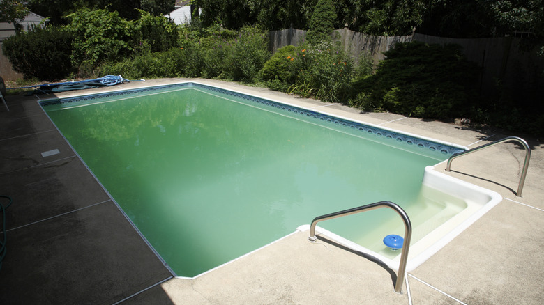 pool with cloudy water