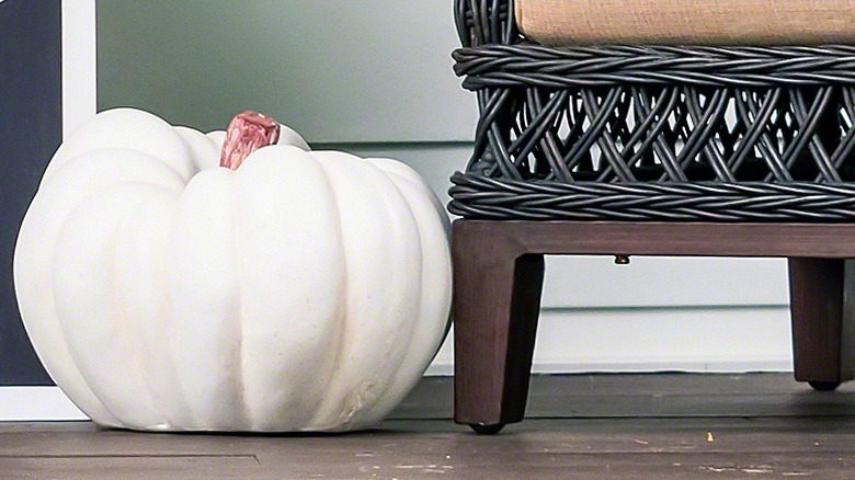 White pumpkin and white carnations