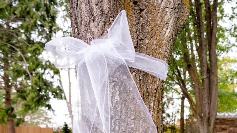 What It Means To See A White Ribbon Tied To A Tree