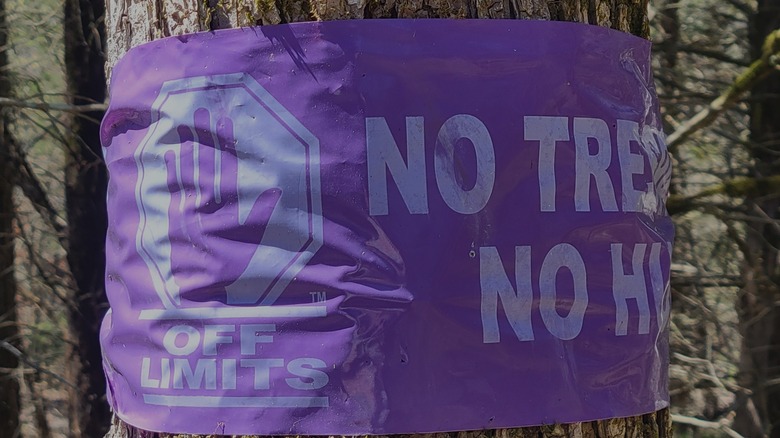 Purple "no trespassing" sign on tree