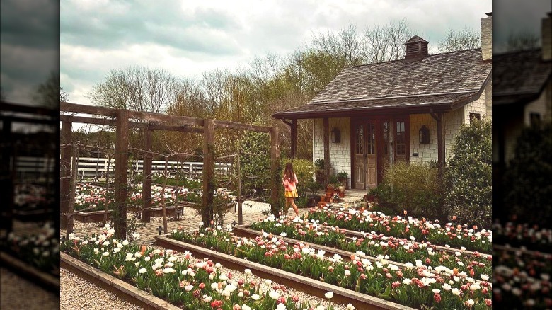 Garden beds and cottage house