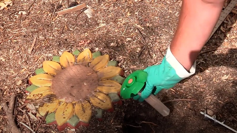 person installing termite bait trap