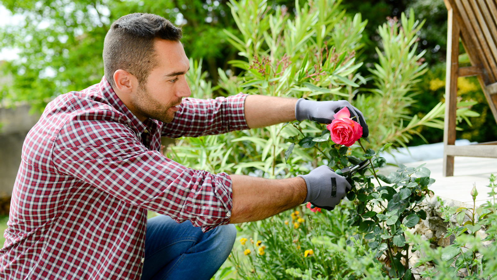 He works in the garden