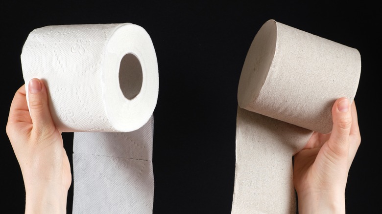 Hands holding toilet paper rolls