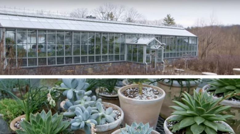 One of the greenhouses at the estate
